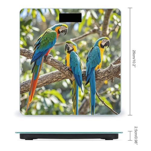 Báscula digital de baño con diseño Colorful Parrots miniatura 2
