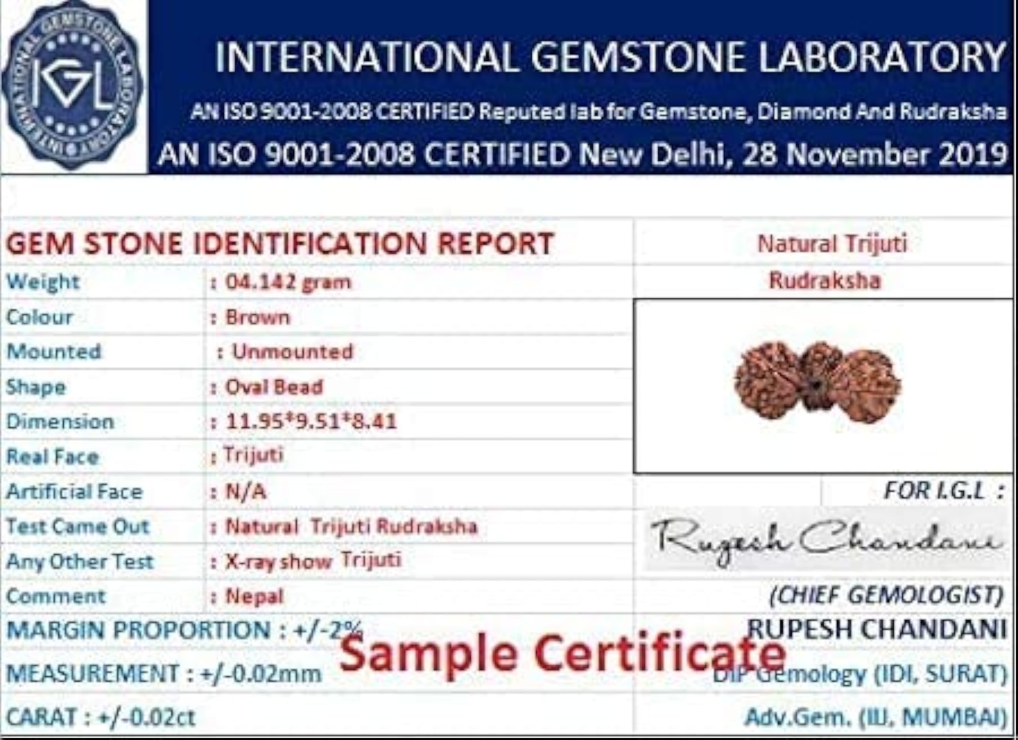 Trijuti Rudraksha Original from Nepal with Blessings