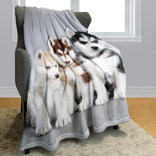 YISUMEI - 150 x 200 cm Decke - Siberian Husky Puppies Dogs Haustiere Fleecedecke,Kaschmir-Gefühl Kuscheldecke Geeignet für Bett oder Sofa