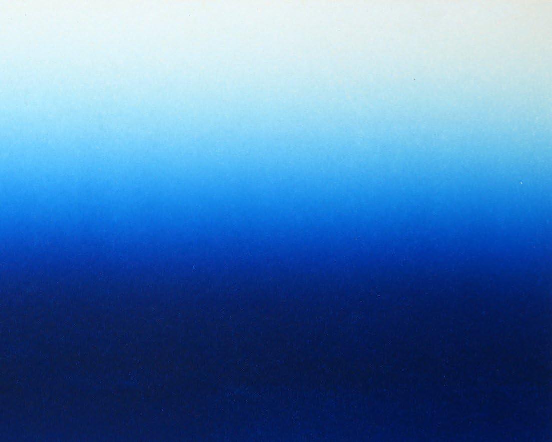 Amazon.co.jp: 小竹美術真作保証□秋山 静「BLUE NPRIZON81-c-6
