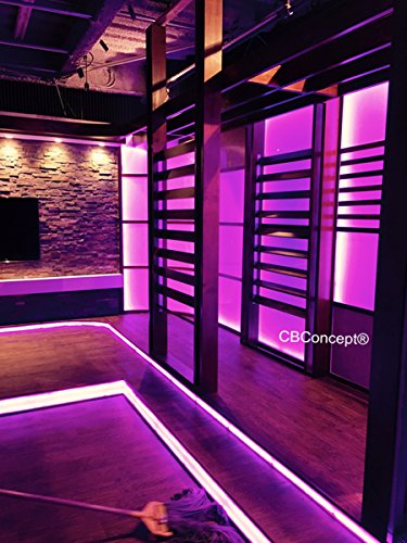 Cbconcept Ul Listed, 65 Feet, 7200 Lumen, Pink, Dimmable, 110-120V Ac Flexible Flat Led Strip Rope Light, 1200 Units 3528 Smd Leds, Indoor Outdoor Use, Accessories Included Ready To Use #TOP7