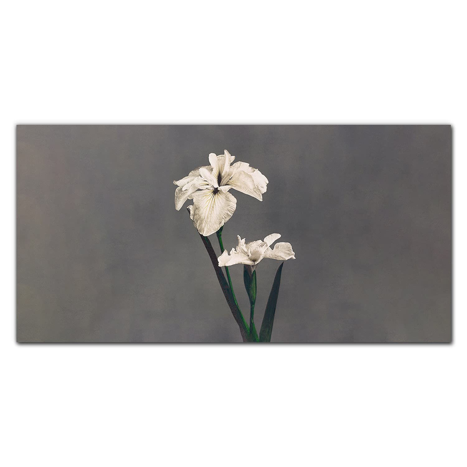 Crédence de cuisine Coloray 100x50 cm en verre trempé adhésif motif fleurs