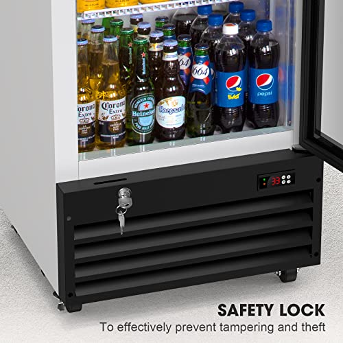 Cotlin Glass Door Merchandiser Refrigerator With Led Lighting, 12.5 Cu.ft Commercial Beverage Cooler, Extra Adjustable Shelves And Drink Organizers, Etl Nsf Approved #TOP5