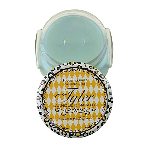 1 X Resort Tyler 22 Oz Large Scented 2-Wick Jar Candle #TOP14