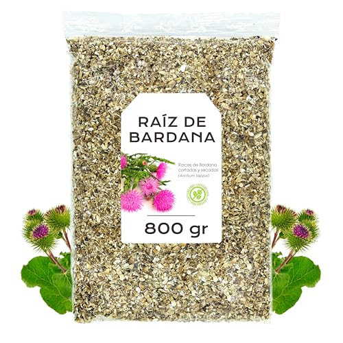 Raiz de Bardana 800g - Te de bardana - Infusion de Bardana - Infusiones a Granel - Rica en Minerales y Nutrientes - Propiedades Naturales (800 gr)