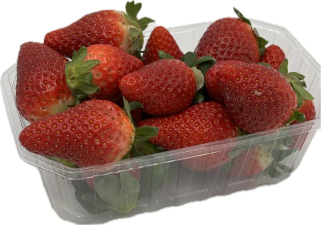 Générique Cardon Emballages – Lot de 2 000 Barquettes transparentes 250 g en PET recyclé, Sans couvercle – Pour fraises, framboises, myrtilles et fruits rouges