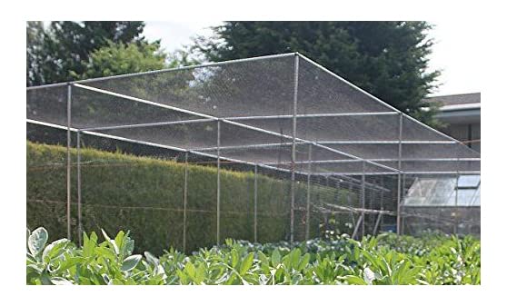 Gardening Naturally Large Walk-In Fruit or Vegetable Cage With No Netting, Ideal If You Have Your Own Netting W2m x L2m Door Included