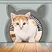 PAWSM Interior Cat Door, Pet Door for Cats, Cat Door Hides Litter Tray, Cat Door with Brush, Fits Cats Up to 20lbs