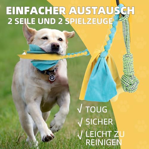 KOXXUD Reizangel Hunde, Profi Reizangel für Kleine, Mittelgroßer, Große Hunde für Ultimativen Spielspaß & Körperliche Auslastung (Seilstreifen + Seilbälle)