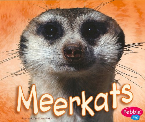 Meerkat (African Animals)