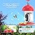 Hummingbird Feeder with Camera, Smart Humming Bird Feeder Camera Solar Powered, AI Identify and Instant Notifications, 2K Live View, Auto Record Video, Ant and Bee Proof,Ideal Gift for Bird Lovers