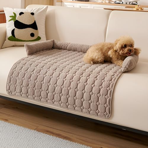 [GIIPET]ybgNbV  ~pxbh t ybg}bg L}bg xbh ӂӂ g _炩 ~ p^ ې ΍ ۉh P[W 薰 Lp ybg\t@[ ybgp}bg