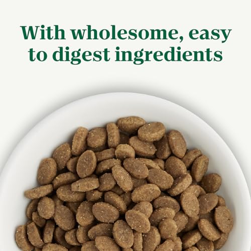 Nutro Wholesome Essentials Sensitive Stomach Dry Cat Food, Chicken, 5 lb - image 7