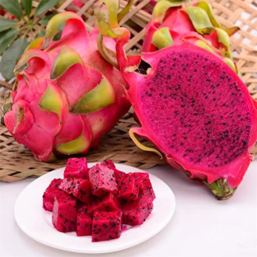 500+ Pitaya Fruit Tree Seeds For Planting #TOP4
