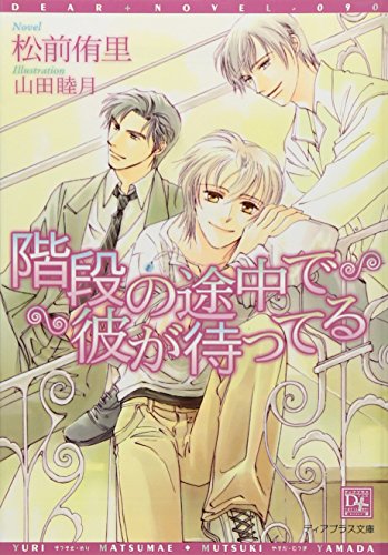 階段の途中で彼が待ってる (ディアプラス文庫)