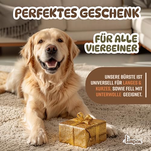 Fellbürste, Hundebürste, Tierbürste, Hundehaarbürste, Premium Bürste für Hund & Katze zur sanften Fellpflege, Striegel für Hunde & Katzenbürste, Hundekamm mit Massage-Effekt, Haustierbürste