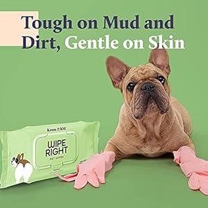 Kenn  Kitt Dog Grooming Wipes | Gentle Moisturizing Hypoallergenic Dog Wipes with Skin Soothing Aloe Vera | Puppy Wipes for Face and Paws | Dog Ear Wipes | Dog Eye Wipes | Pet Wipes | 100 Count  Cucciolini Doodles Kenn  kitt dog grooming wipes | gentle moisturizing hypoallergenic dog wipes with skin soothing aloe vera | puppy wipes for face and paws | dog ear wipes | dog eye wipes | pet wipes | 100 count   cucciolini doodles