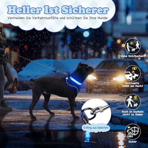 Collier lumineux LED rechargeable bleu étanche doté d'une sangle ajustable - 8