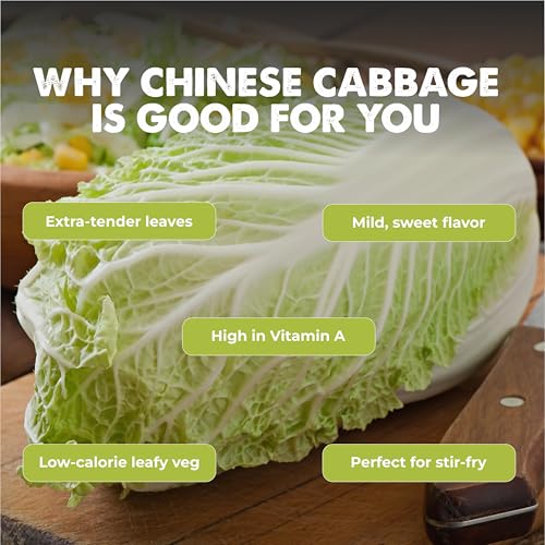 Image of Chinese Cabbage 100+ Vegetable Seeds for Home Garden