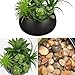 Hollyone Fake Plants Artificial Succulents in Pots Faux Succulent Arrangement Potted Plant in Black Ceramic Planter Bowl for Home Decor Office Desk Bathroom Shelf Living Room Indoor Decorations