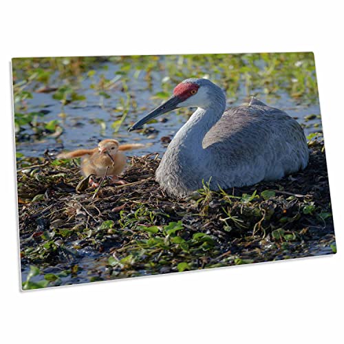 Alfombrilla de escritorio 3dRose diseño Sandhill Crane miniatura 1