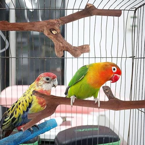 Image of Woohome 5 PCS Natural Grape Stick Natural Wooden Parrot Stand, 3 Grape Wood Perch, 2 Stand, Paw Grinding Fork Bird Perch Stand for Cage Accessorie, Cockatiels, Small Birds