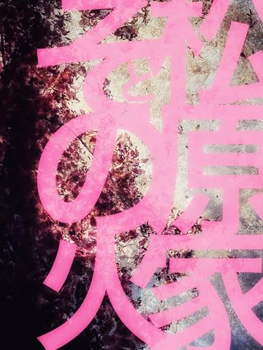 松原家とその火 (鳴骸ブックス)