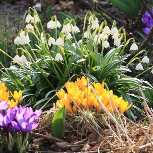 26-03: Sp&uuml;rst Du die Unsicherheit der ZwischenZeit?