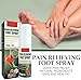 60ml (2.02 Fl Oz) Ayurvedic Foot Spray | Herbal Spraay for Feet, Ankles & Legs (30ml Each), 2Pack