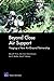 Beyond Close Air Support: Forging a New Air Ground Partnership