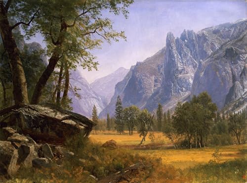Impression sur toile Vallée de Yosemite tableau grand format 60x90cm salon