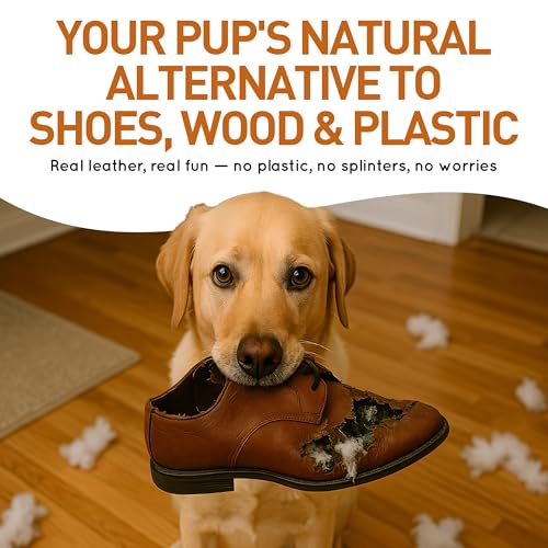 Wildfang® Leder Kauknochen Hund, Größe S – zahnpflege Hund, Hundespielzeug, kauspielzeug & kauknochen Welpen – für leichte bis mittlere Kauer (unter 1 kg), 1 Stück