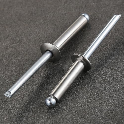 Image of Wensilon (100Pcs)1 /4 inchx5 /8 inch stainless steel blind pro Rivets,Steel handle and stainless steel mandrel