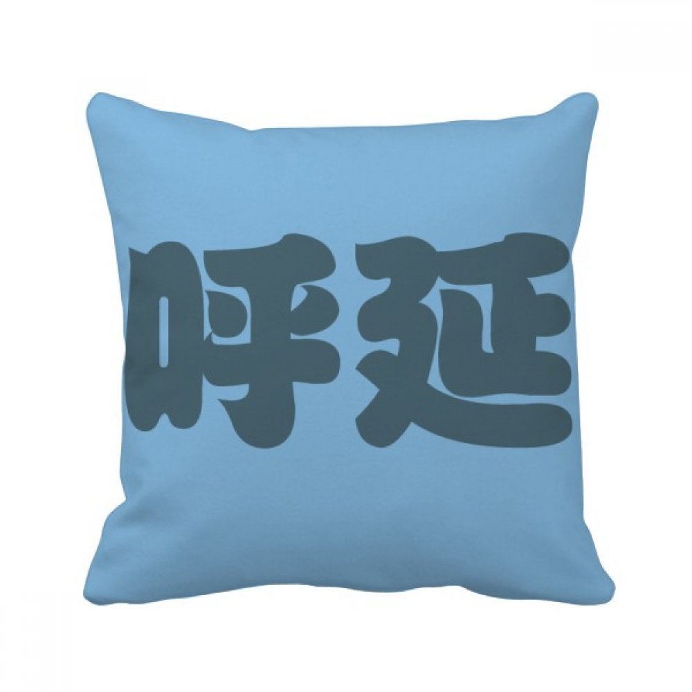 Coussin Chinois Huyan Nom 40x40 Réchauffe Canapé Terne Oreiller Confortable