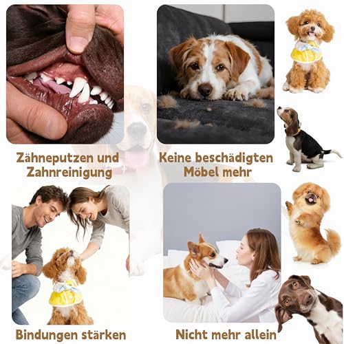 Esshogo Latex-Hühner-Hundespielzeug,Zähneknirschen und Waschen, Quietschspielzeug für Hunde, Niedlicher Look, Interaktive Spiele, Latex-Hühnchen, Quietschendes (Gelb)