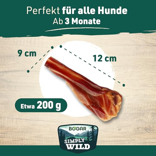 Bogar - Simply Wild - Hundeknochen – Hundefutter als Ergänzung zur täglichen Ernährung – Hundeleckerli in Form eines halben getrockneten Schweineknochens – Unterstützt die Hundepflege & Zahngesundheit