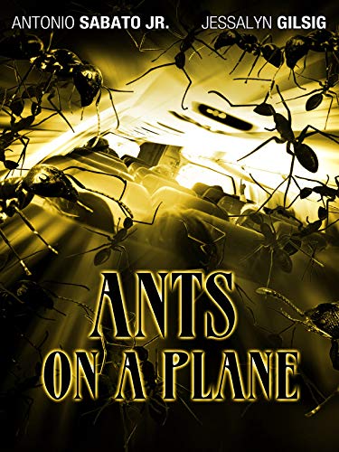Ants On A Plane