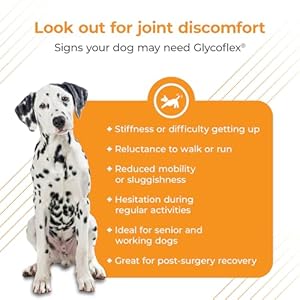 VetriScience-Glycoflex-3-Clinically-Proven-Hip-and-Joint-Supplement-for-Dogs-Maximum-Strength-Dog-Supplement-with-Glucosamine-MSM-Green-Lipped-Mussel-DMG-120-Chews-Chicken-Flavor - Cucciolini Doodles VetriScience-Glycoflex-3-Clinically-Proven-Hip-and-Joint-Supplement-for-Dogs-Maximum-Strength-Dog-Supplement-with-Glucosamine-MSM-Green-Lipped-Mussel-DMG-120-Chews-Chicken-Flavor