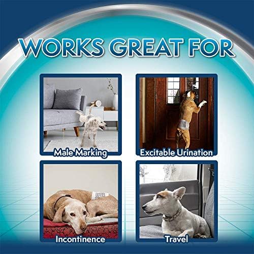 Simple Solution Disposable Dog Diapers for Male Dogs | Male Wraps with Super Absorbent Leak-Proof Fit | Excitable Urination, Incontinence, or Male Marking