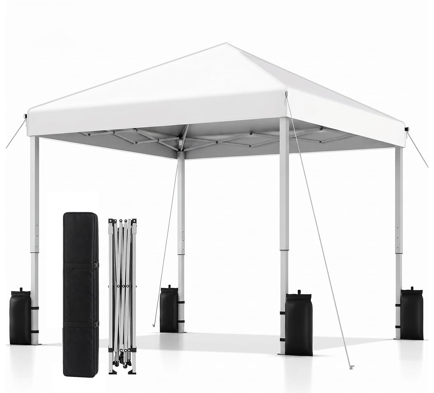 SANWAY 10x10 Pop Up Canopy Tent