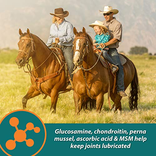 Farnam Next Level Joint Fluid Supplement For Horses And Dogs, Helps Maintain Connective Tissue To Ease Joint Stiffness Due To Daily Activity, 16 Ounces, 16 Day Supply #TOP5