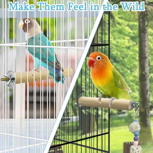 Image of Hamiledyi Bird Perch Stand Toy Natural Wood Perch Stand Birds Toys Parakeet Toy with Rotating Balls Spinning for Parakeets Cockatiels Conures Budgies Finches Love Birds