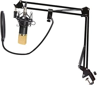 SUPVOX Microfone De Gravação Condensador Kit De Chaves De Microfone Condensador Estúdio Computador Microfone USB Microfone Estúdio Transmissão Bm-800 Kit De Estúdio Microfone Tela