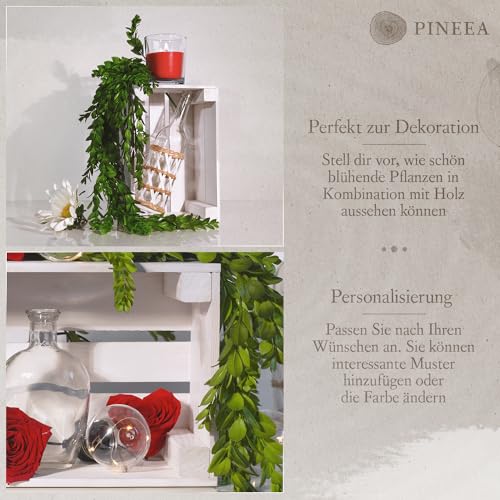 PINEEA Holzkiste Klein - Weinkisten Holz - Deko Holzkisten - Weinkiste Holzbox – Obstkiste Vintage – Kiste Weiß 30x20x15