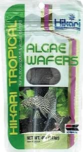 Tropical Algae Wafers Fish Food, Hikari tropical Algae