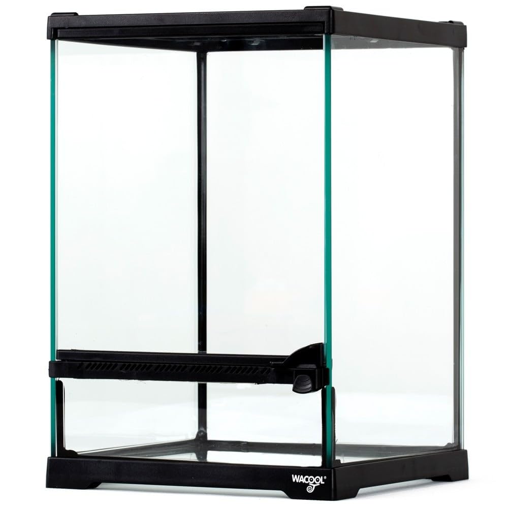 Repti-Zoo Terrario 21 x 21 x 30 cm – Terrario in vetro per rettili, anfibi, aracnidi e insetti