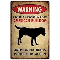 Cartello in alluminio con scritta in lingua inglese Beware of Dog, 25