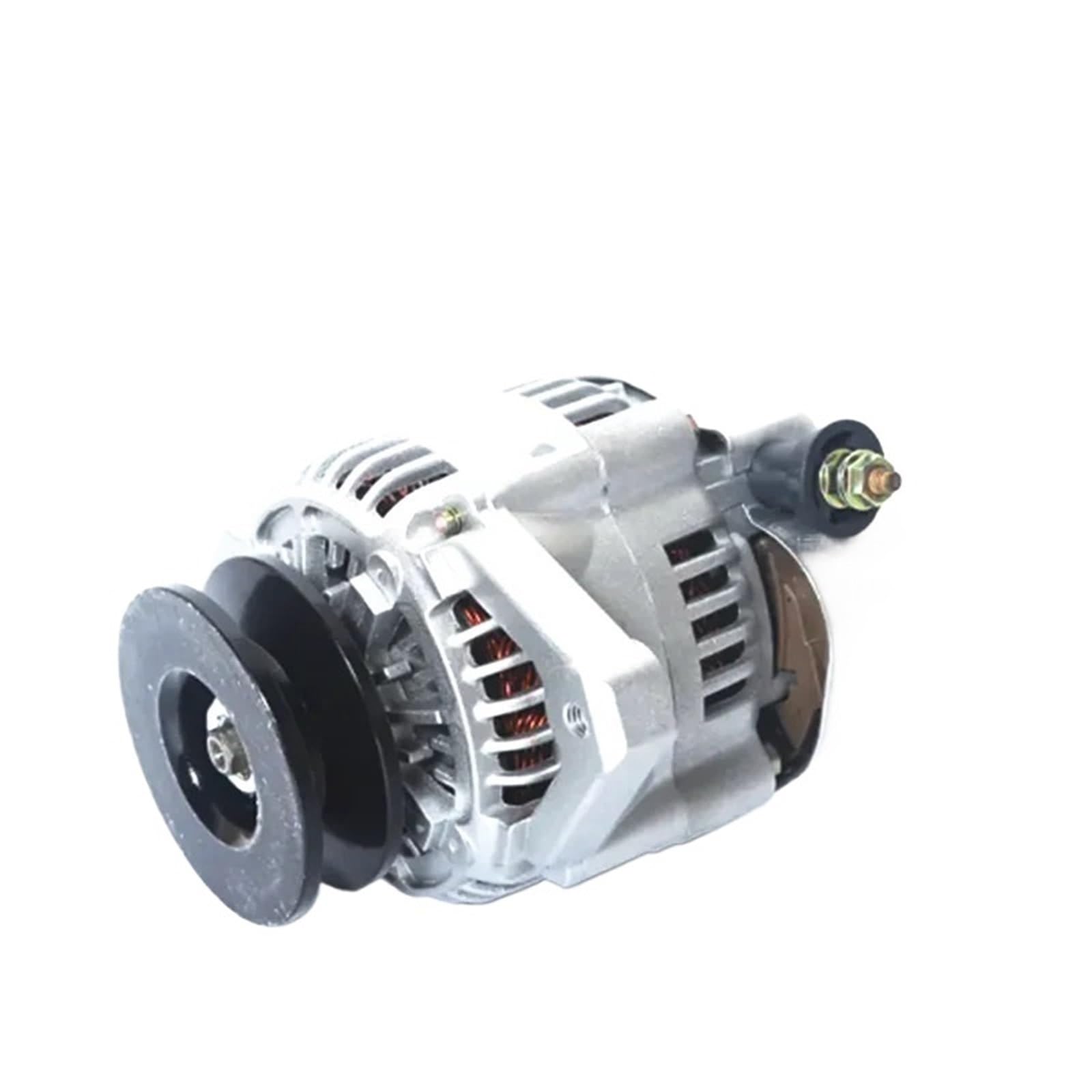Alternatore 27060-78300-71 24V for carrelli elevatori 7fg30 1002114100 1002114101 Adatto a 5FD-23 5FD-28 1Z 11Z Ricambi for carrelli elevatori