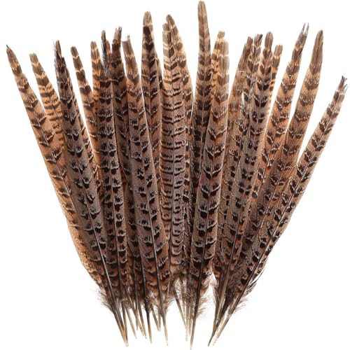 Lot de 5 plumes de faisan naturelles longues et grandes pour travaux manuels, décoration de vase,...