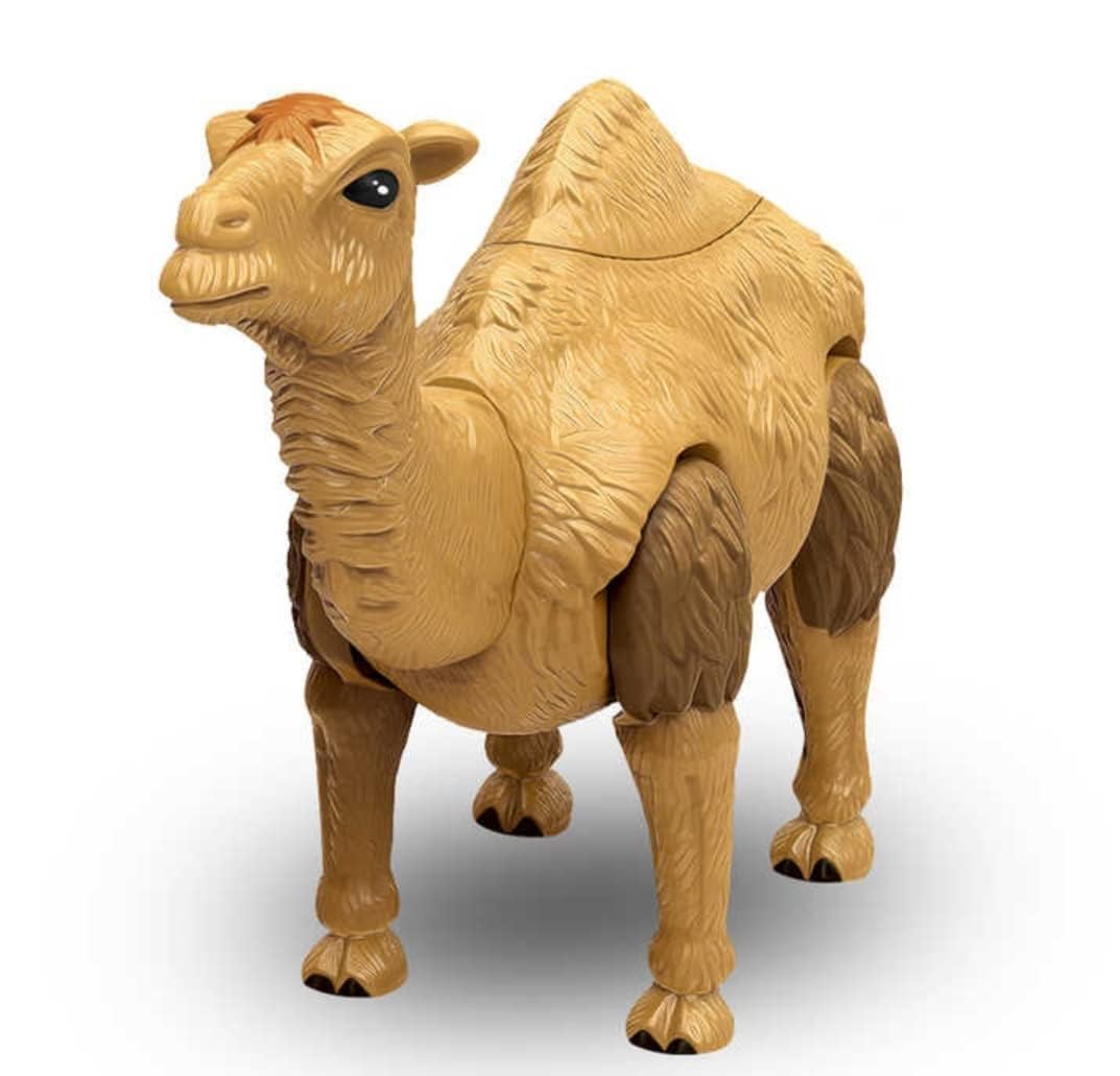 SHAKTISM Walking Camel Toy for Kids – Battery Operated with Lights, Sounds & Moving Legs | Realistic Animal Fun Toy (Multicolor)-image-20